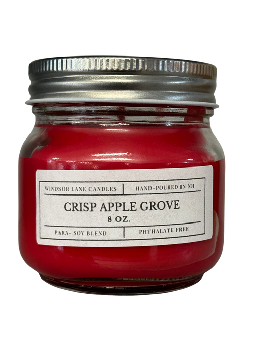An enticing apple-scented Mason Jar Candle with notes of freshly picked apples, spicy cinnamon powder, and warming vanilla. It embodies the crisp and comforting aroma of orchard-fresh apples