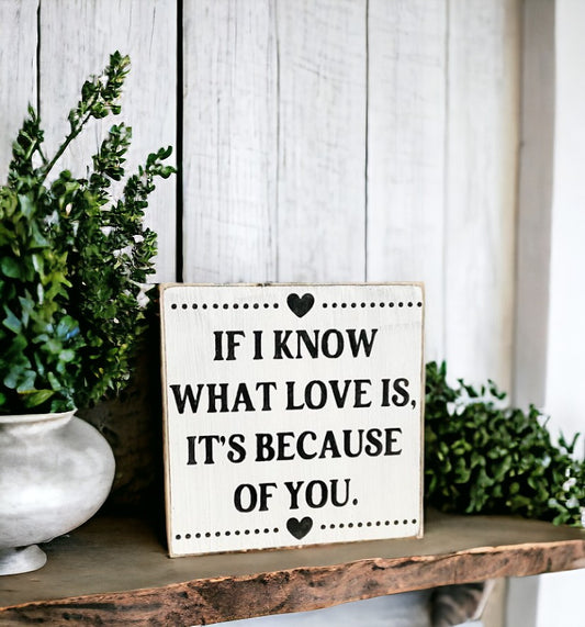 If I know What Love Is, It's Because Of You Wood Block Sign